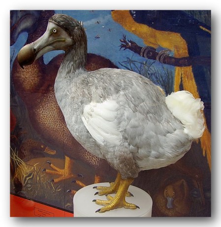 Working A Great Strategic Initiative