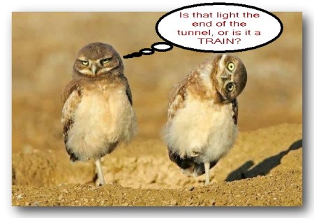 Don't Just Stand There, You Have Wings, They Are For Flying