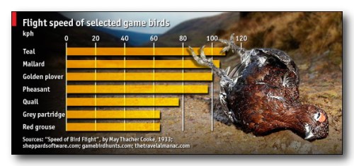 Uh-Oh...Uh-Oh......Uh-Oh.........Oh-Oh...........Oh-Oh