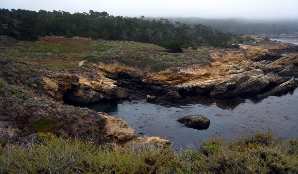 Right Click or Equivalent to Download